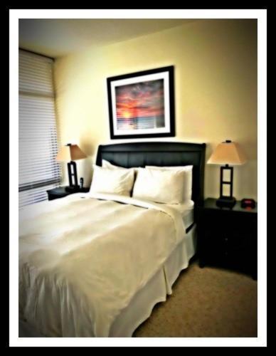 Boq Lodging In Rosslyn Washington Eksteriør bilde